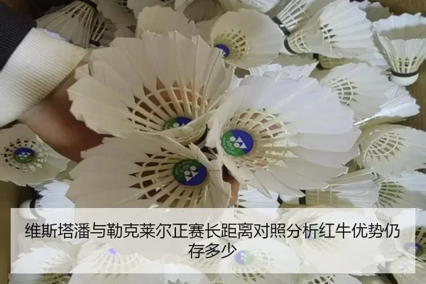 维斯塔潘与勒克莱尔正赛长距离对照分析红牛优势仍存多少